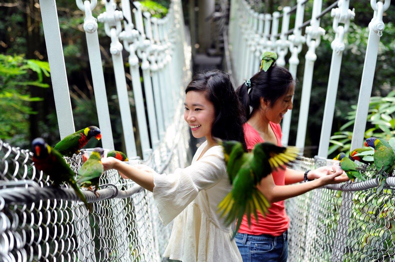 Jurong Bird Park in Singapore Pass l iVenture Card